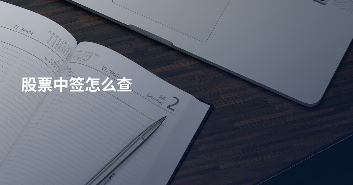 股票中签怎么查