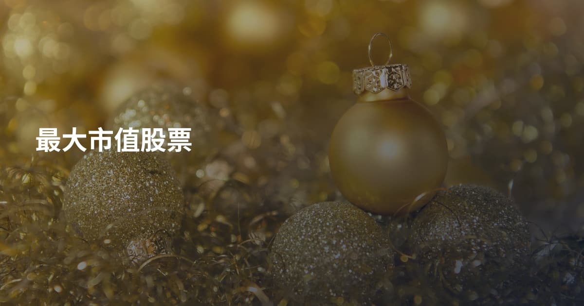 最大市值股票