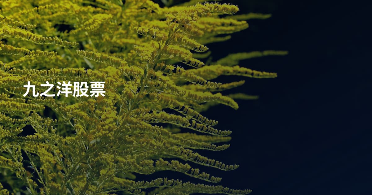 九之洋股票