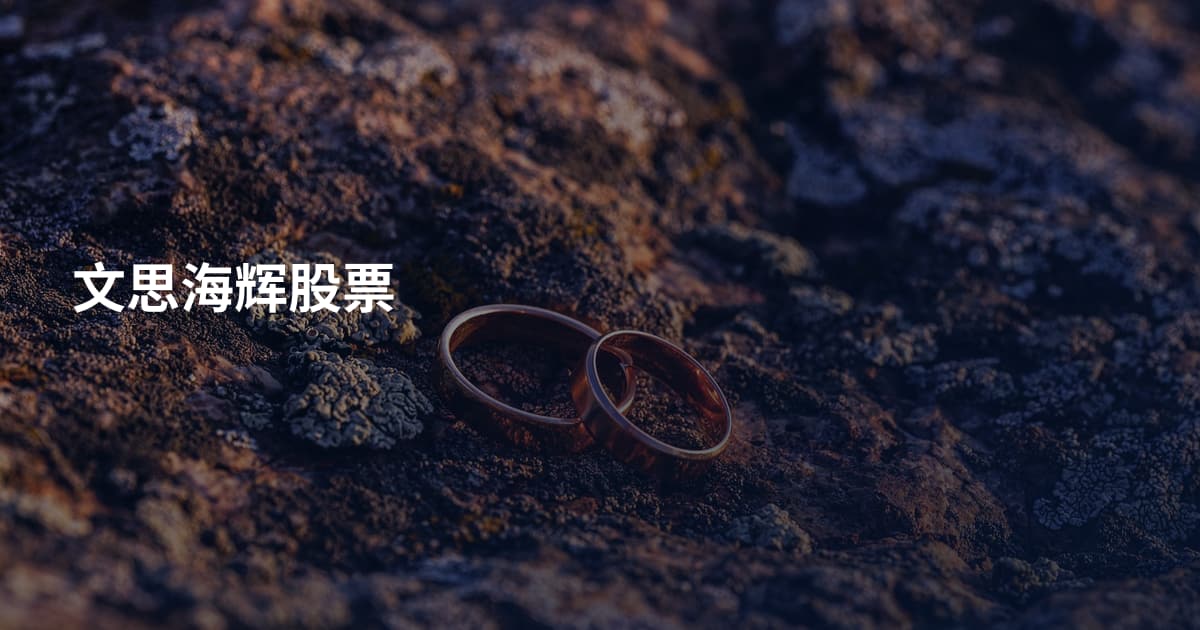 文思海辉股票