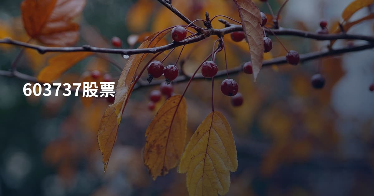 603737股票