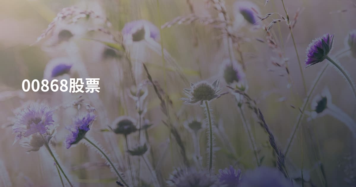 00868股票