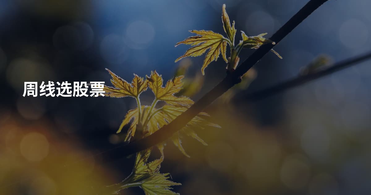 周线选股票