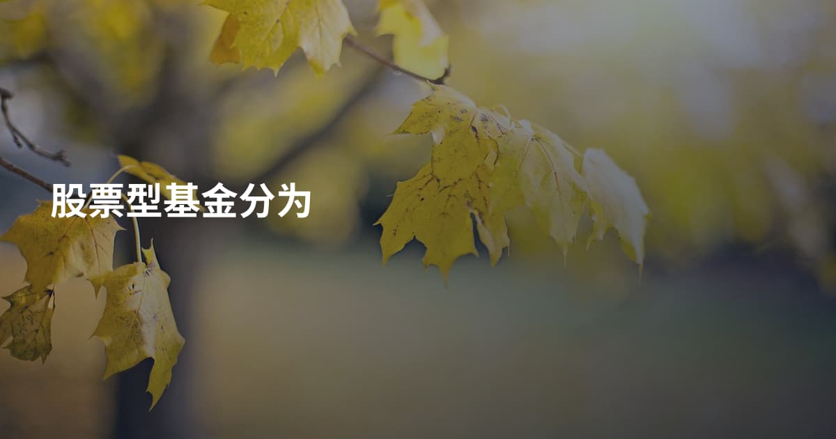 股票型基金分为