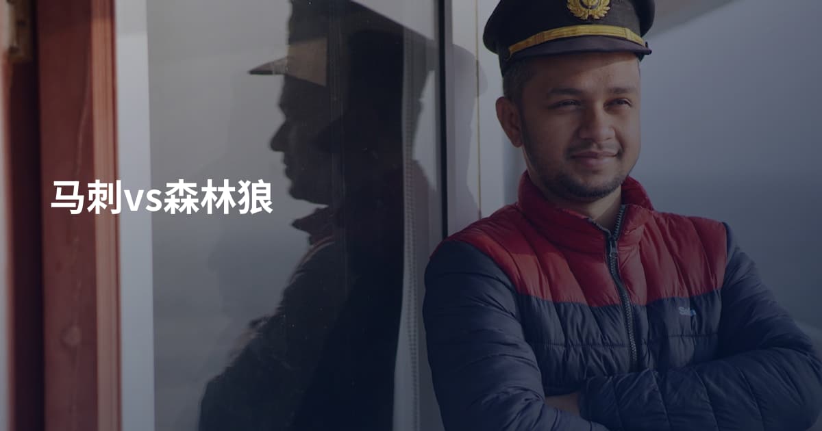 马刺vs森林狼