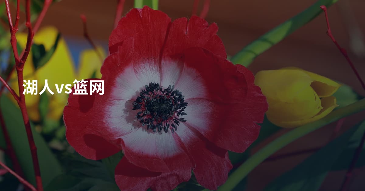 湖人vs篮网