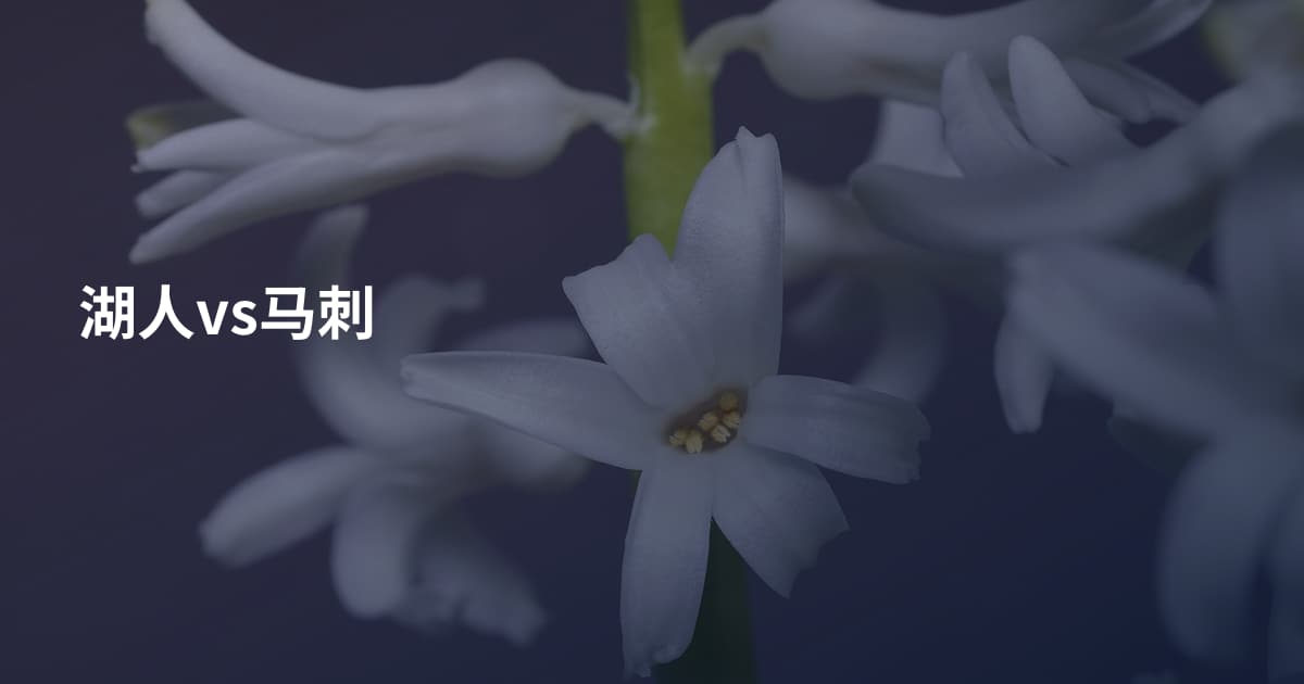 湖人vs马刺