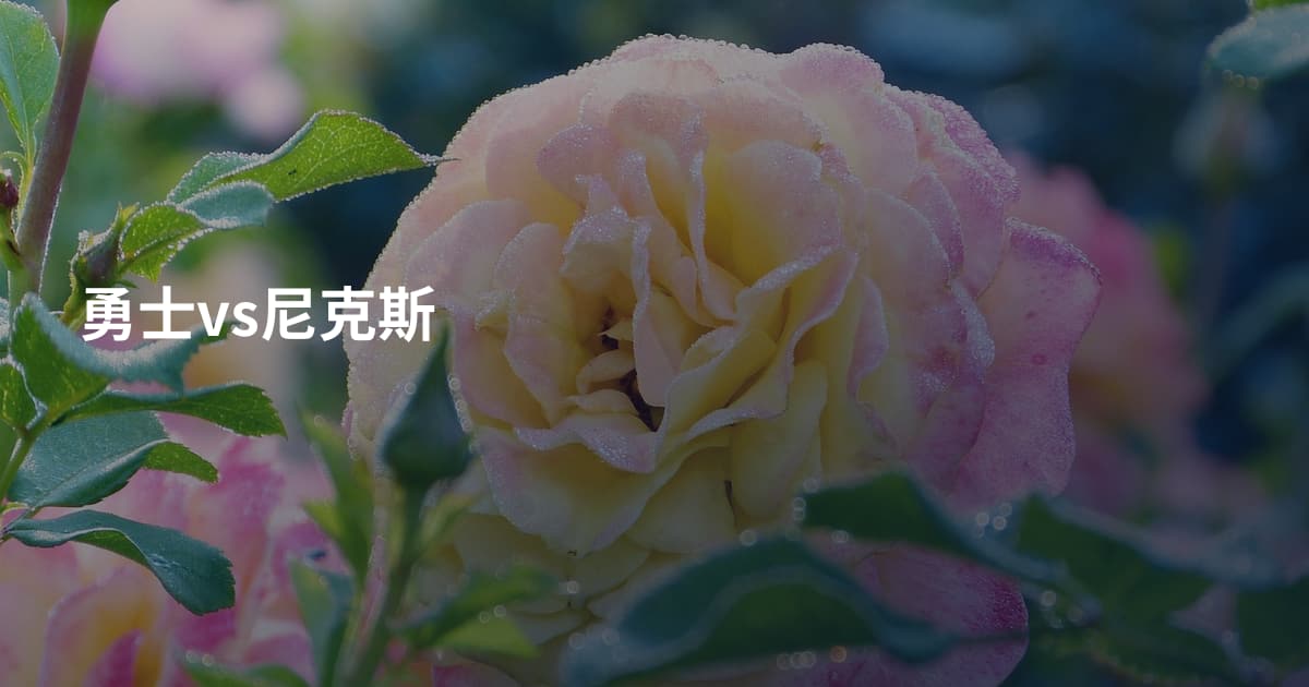 勇士vs尼克斯
