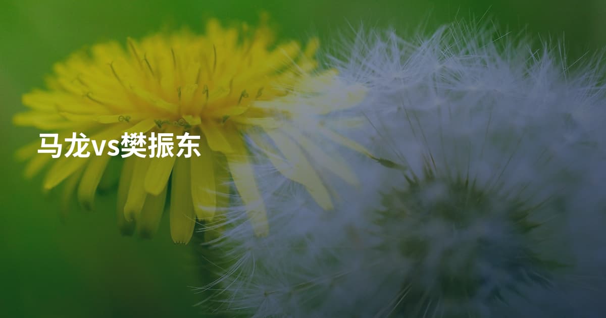 马龙vs樊振东