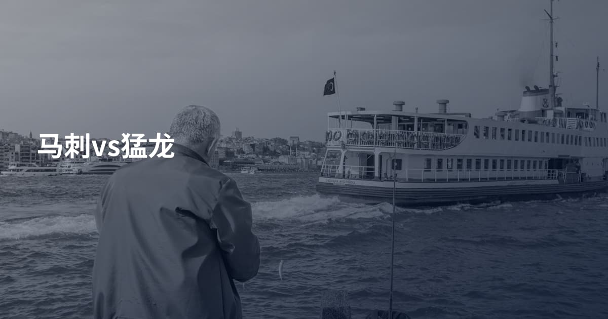 马刺vs猛龙