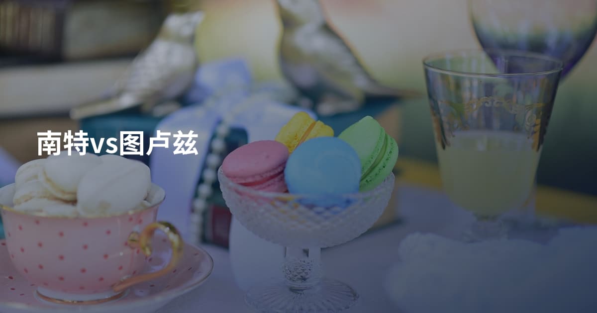 南特vs图卢兹