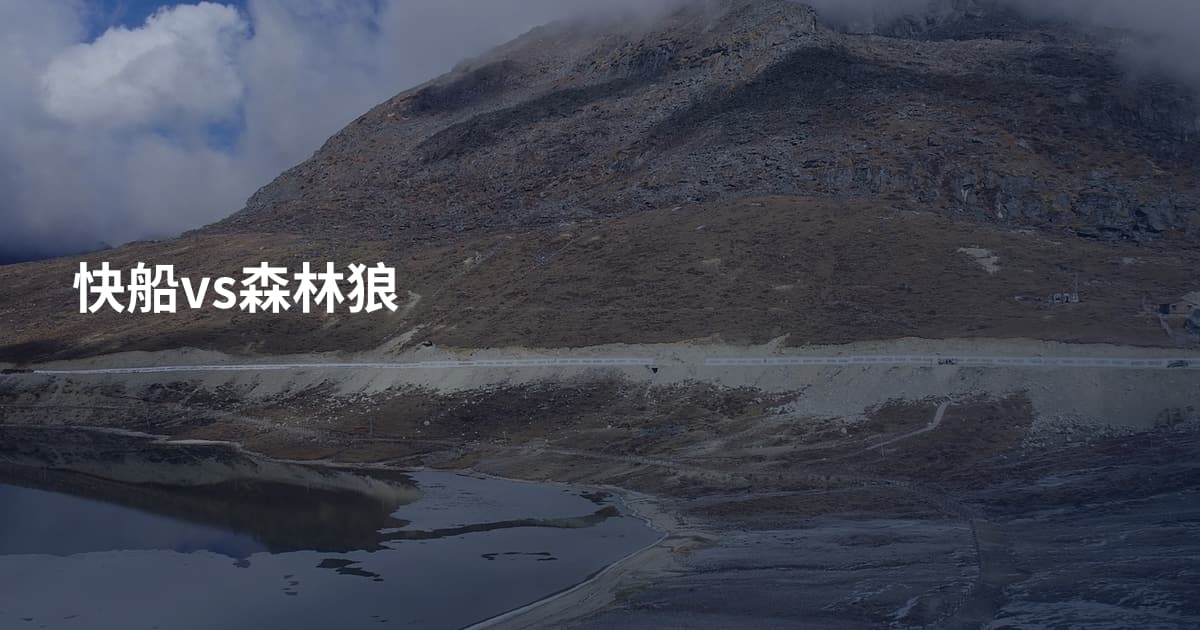 快船vs森林狼