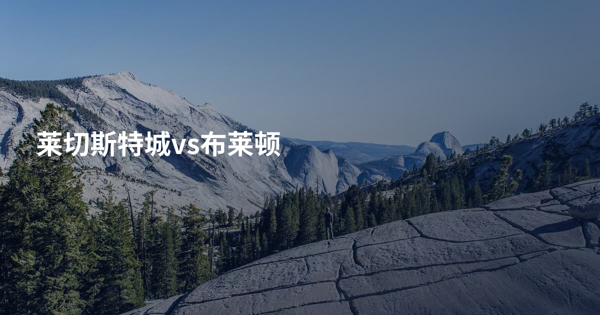 莱切斯特城vs布莱顿