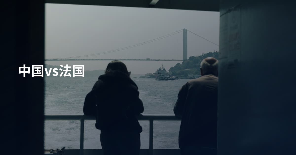 中国vs法国