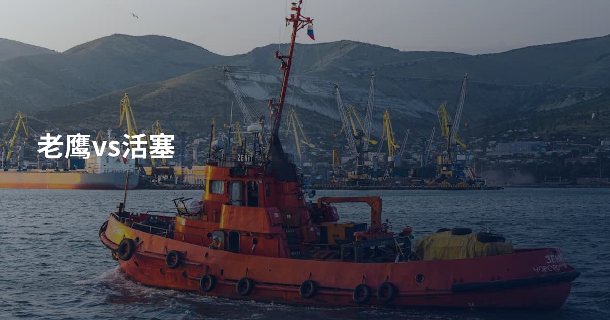 老鹰vs活塞