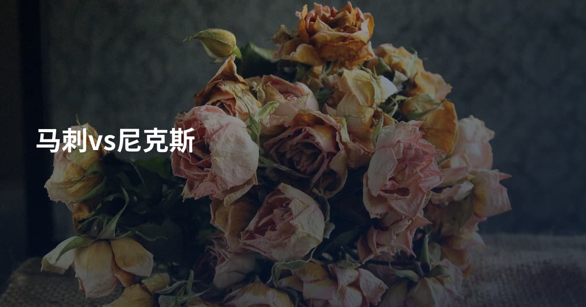 马刺vs尼克斯