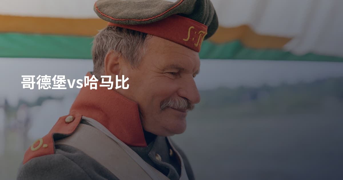 哥德堡vs哈马比