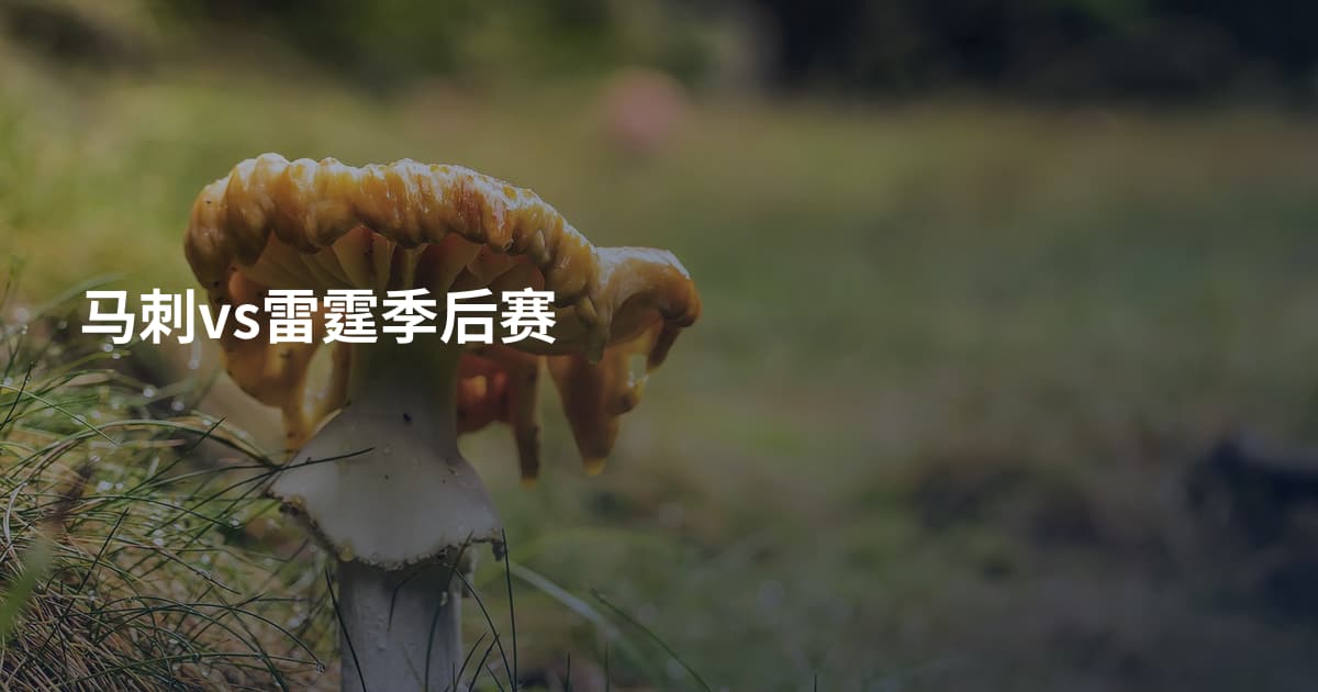 马刺vs雷霆季后赛