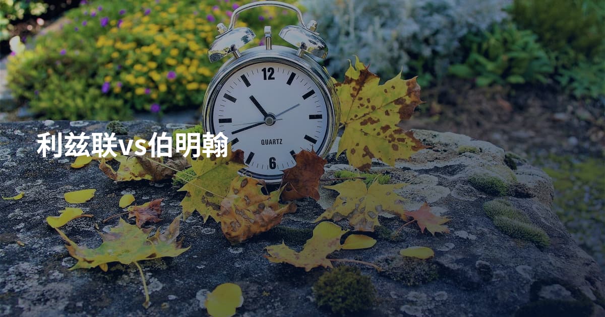 利兹联vs伯明翰