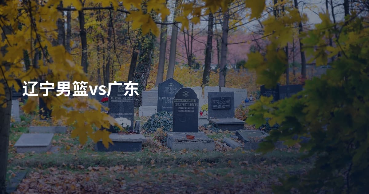 辽宁男篮vs广东