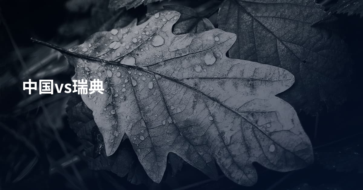 中国vs瑞典