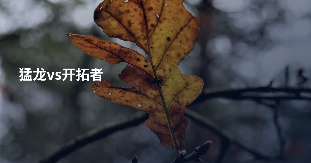 猛龙vs开拓者