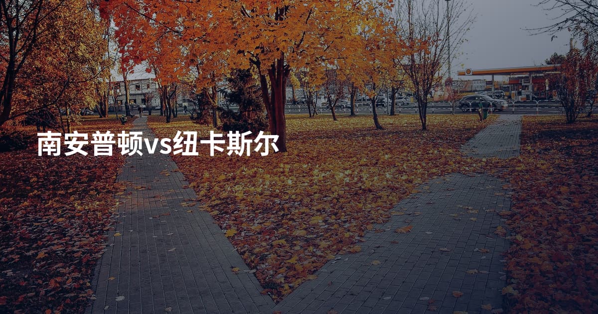 南安普顿vs纽卡斯尔