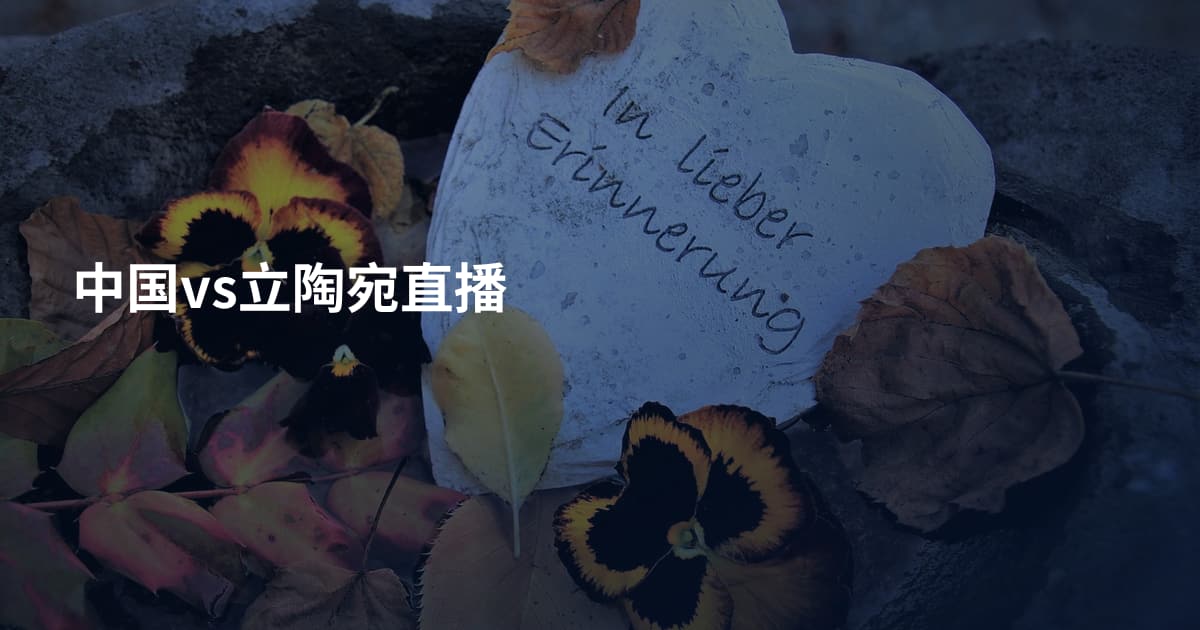 中国vs立陶宛直播