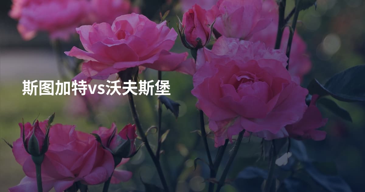 斯图加特vs沃夫斯堡