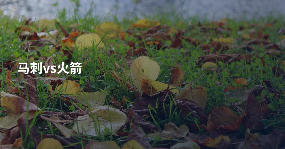 马刺vs火箭