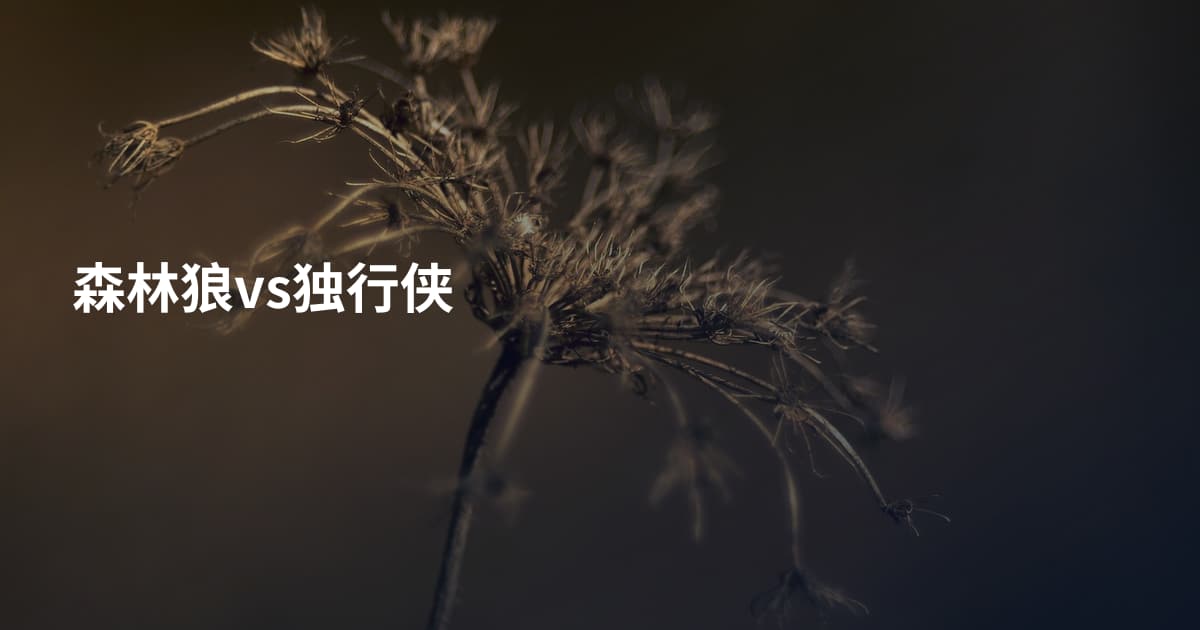 森林狼vs独行侠