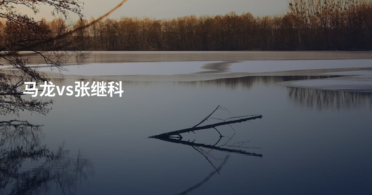 马龙vs张继科