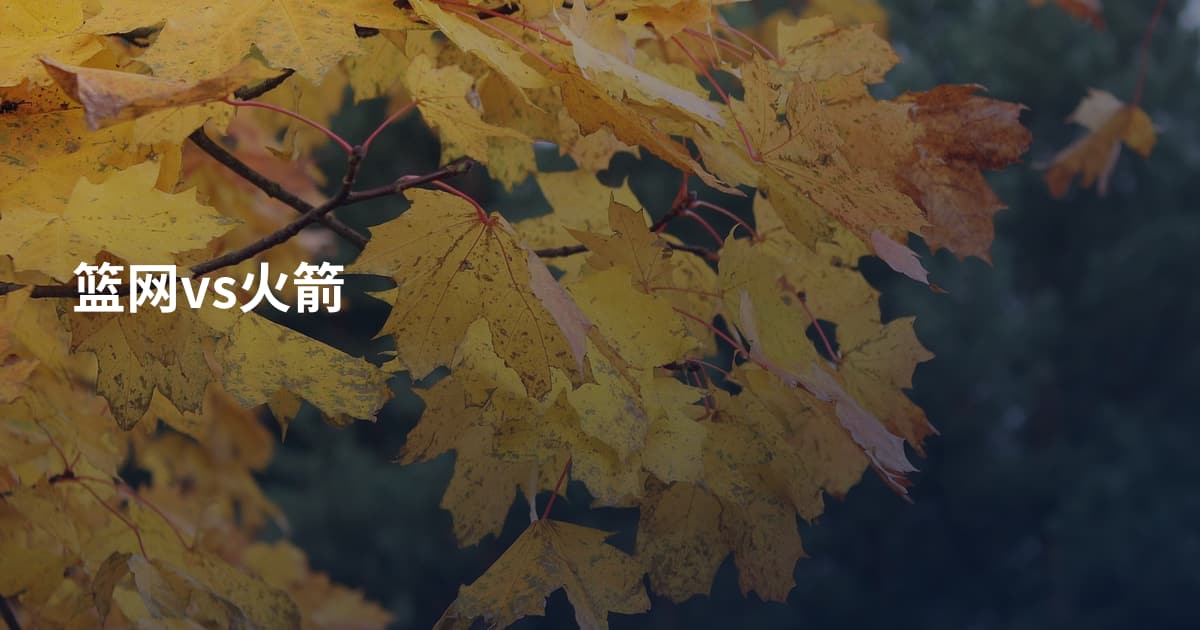 篮网vs火箭