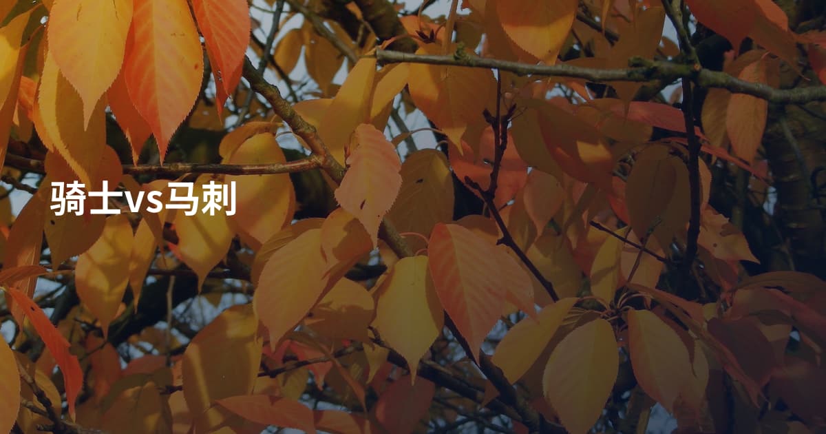 骑士vs马刺