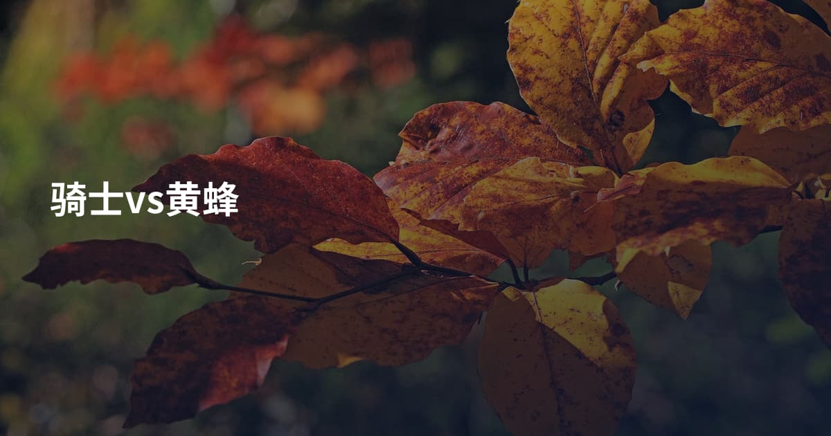 骑士vs黄蜂