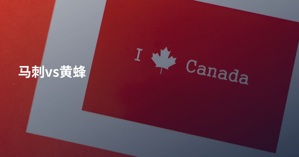 马刺vs黄蜂