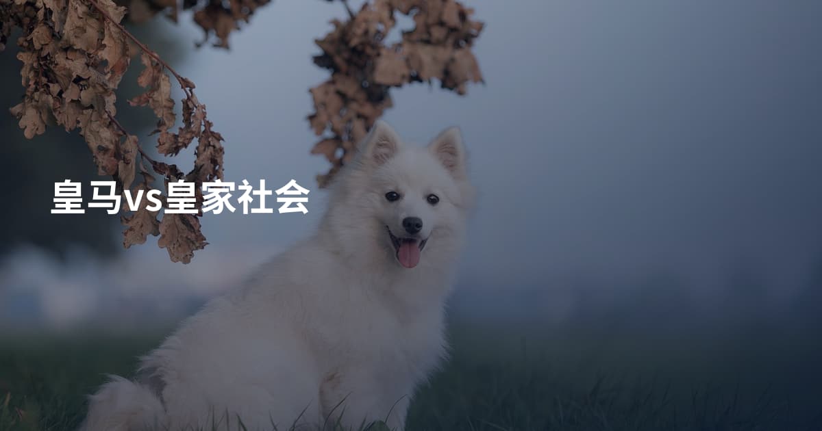 皇马vs皇家社会