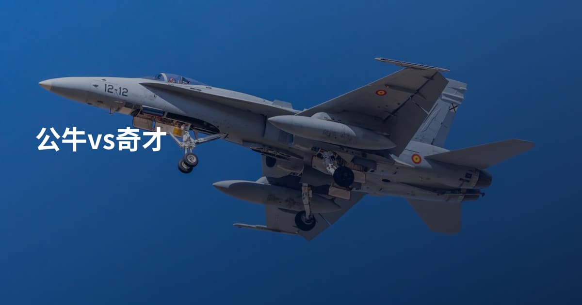 公牛vs奇才