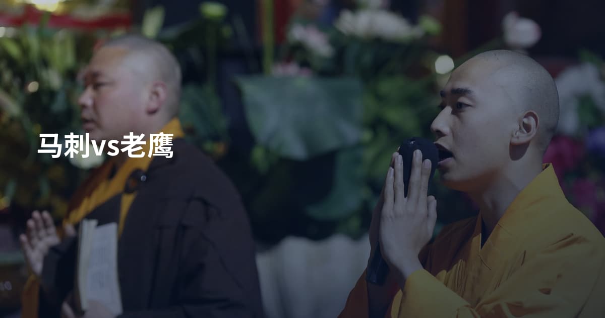 马刺vs老鹰
