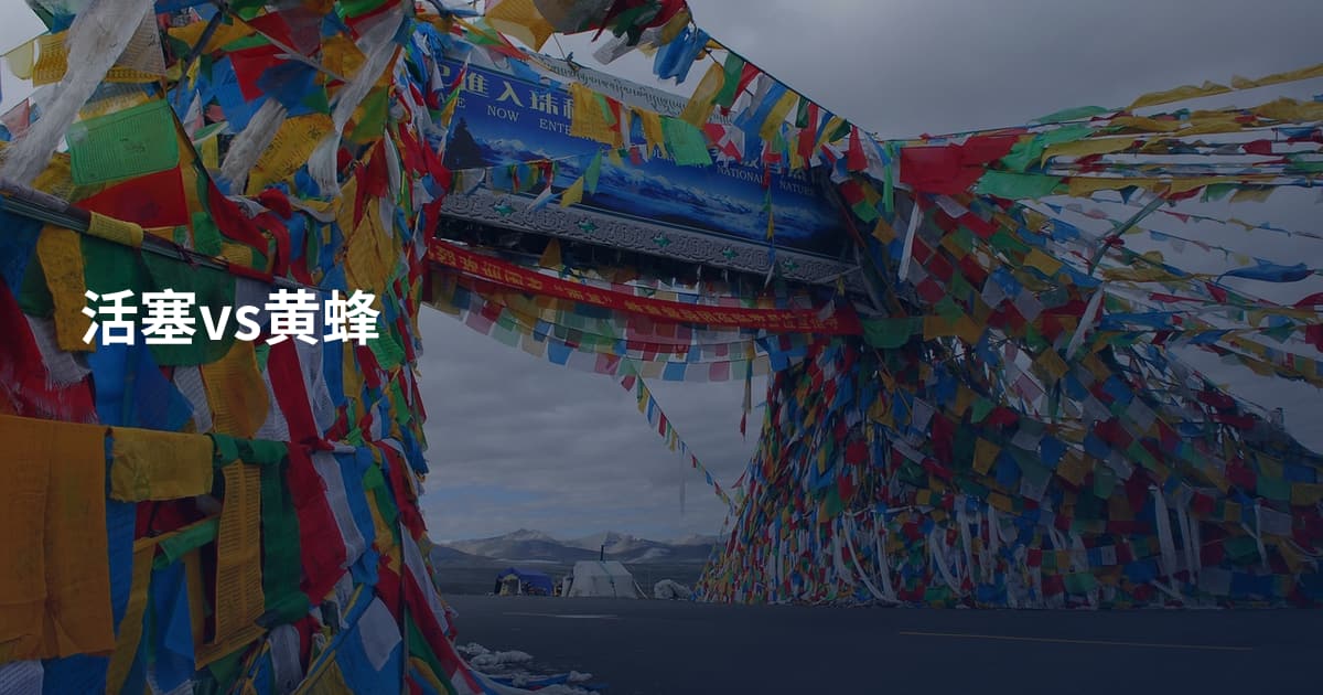 活塞vs黄蜂