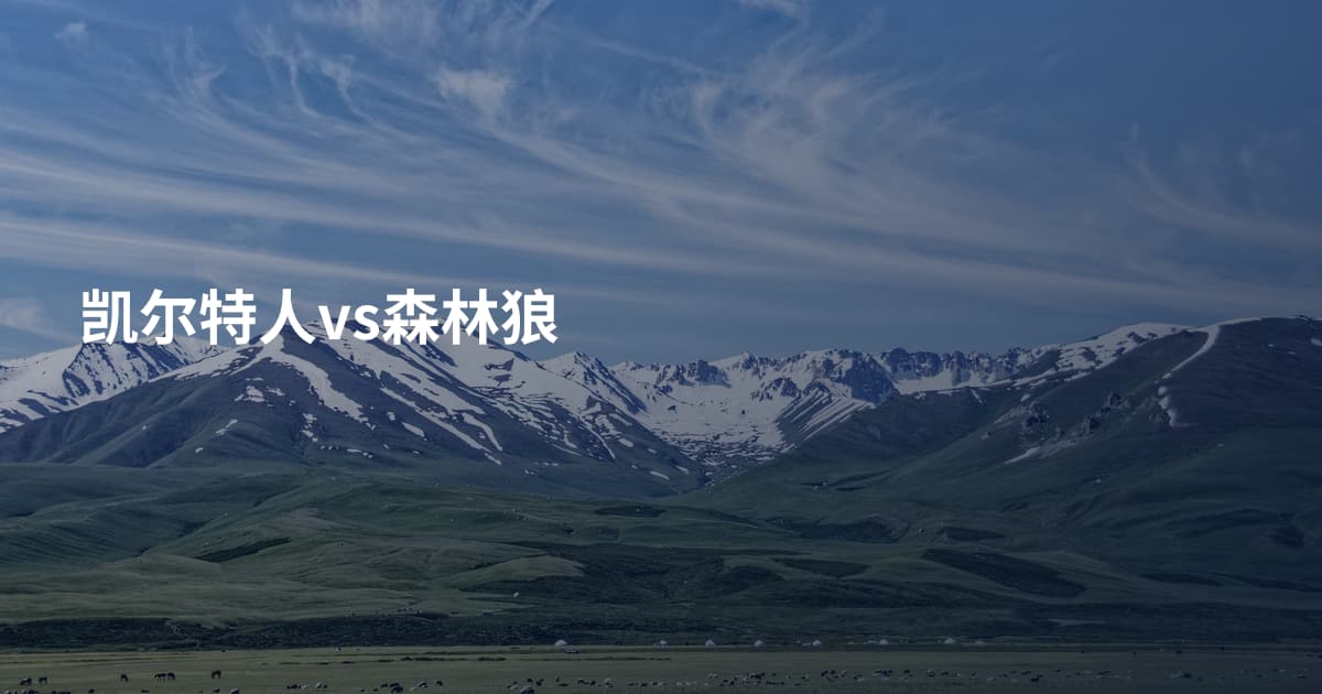 凯尔特人vs森林狼