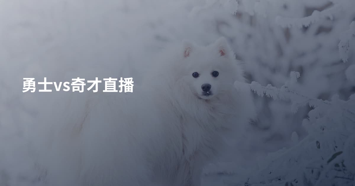 勇士vs奇才直播