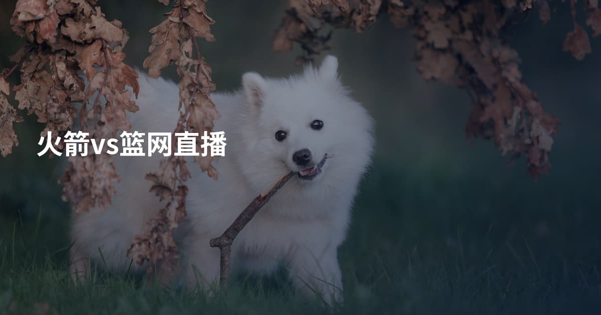 火箭vs篮网直播