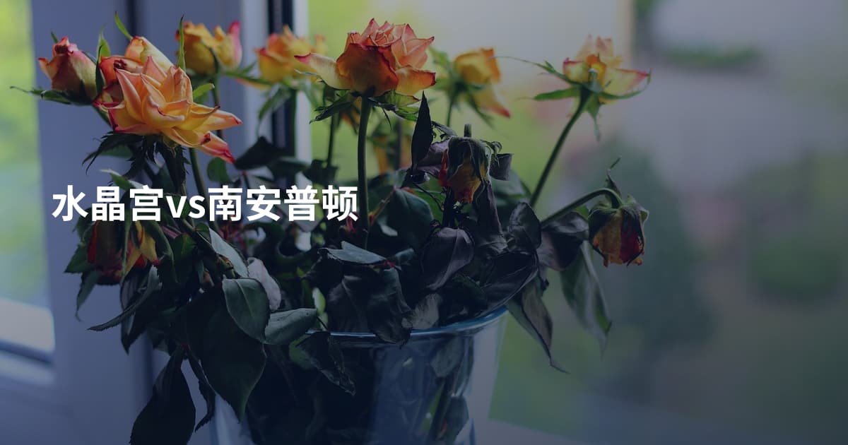 水晶宫vs南安普顿