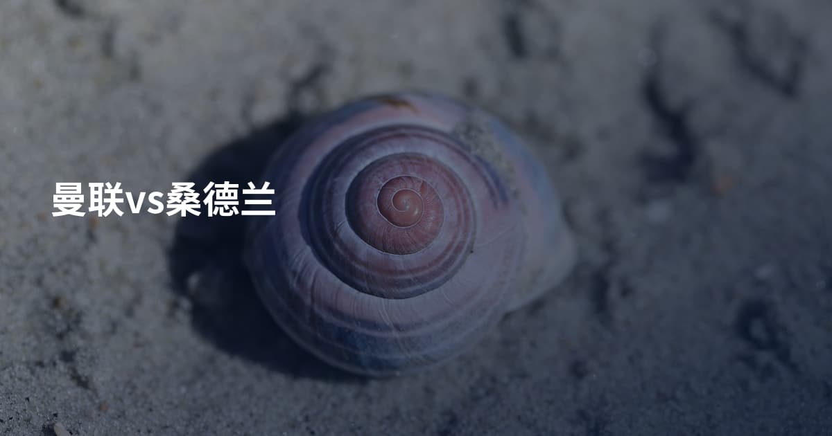 曼联vs桑德兰