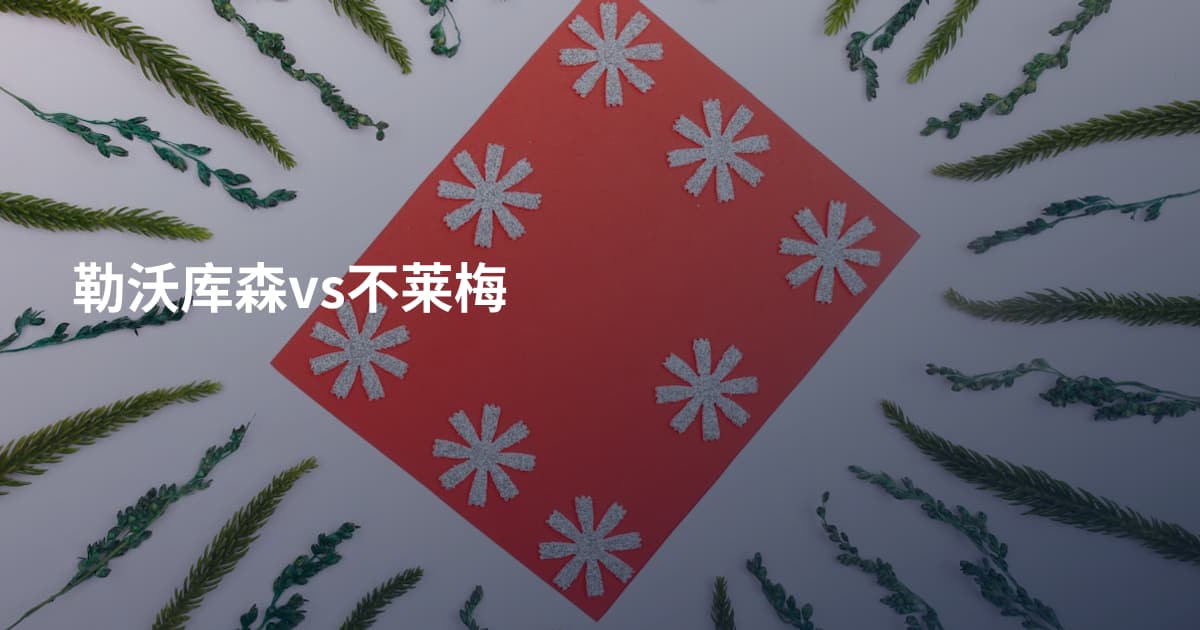 勒沃库森vs不莱梅