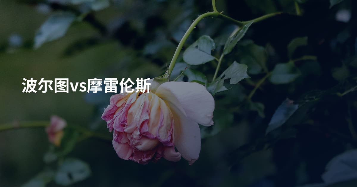 波尔图vs摩雷伦斯