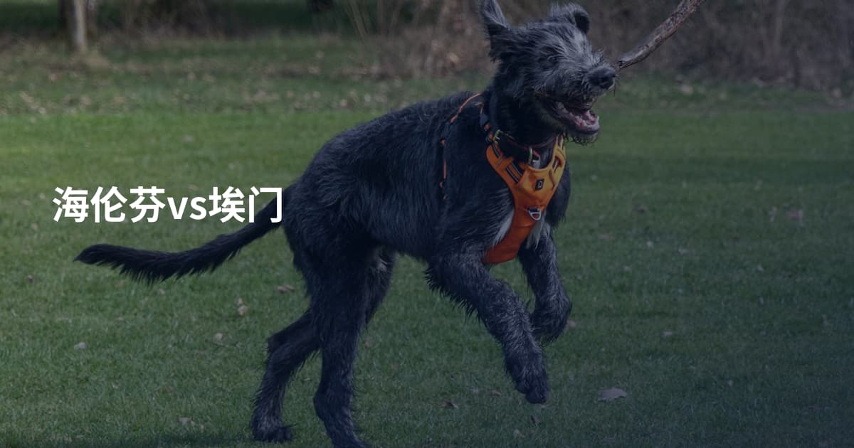 海伦芬vs埃门