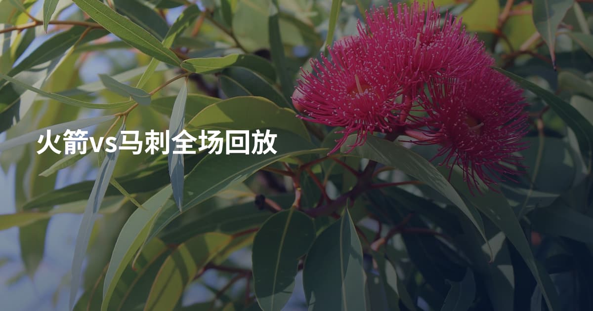 火箭vs马刺全场回放