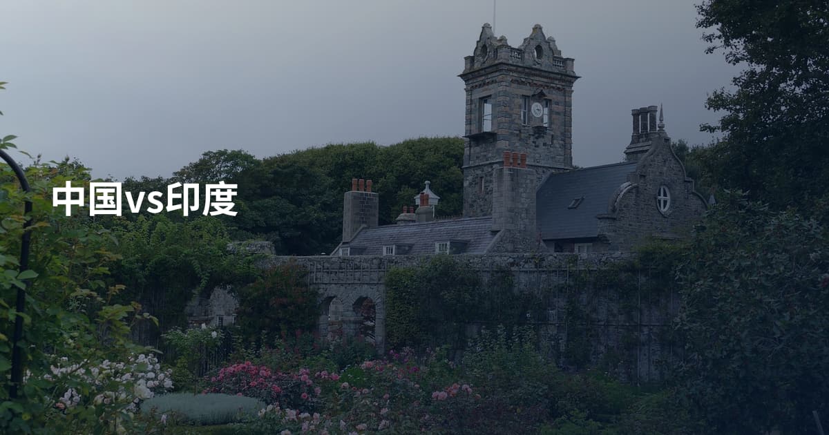 中国vs印度